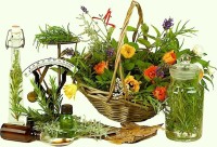 An assortment of herbs